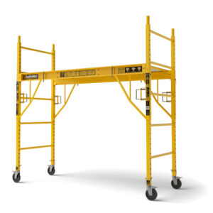 Multifunction Scaffold